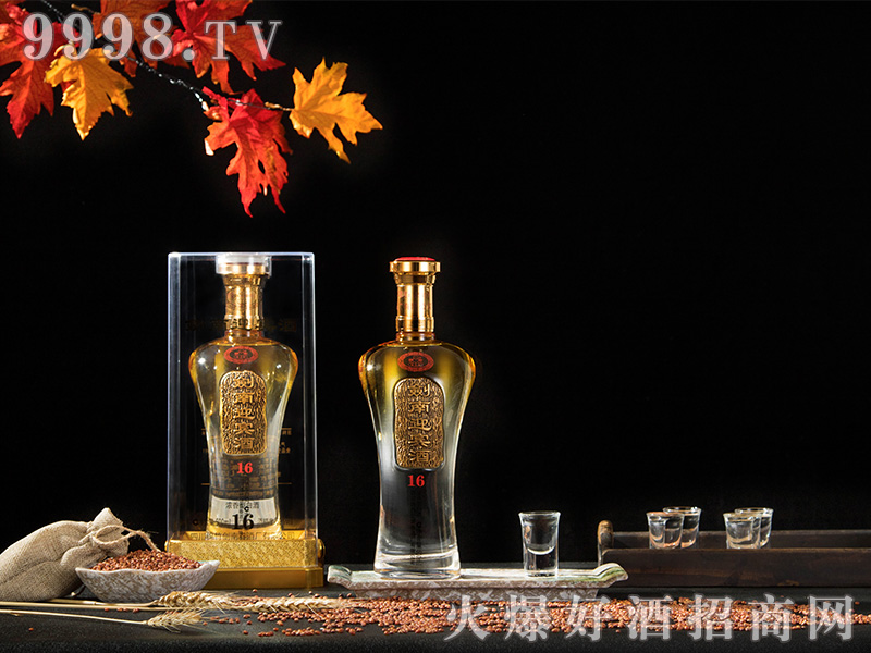 ����ӭ�e16