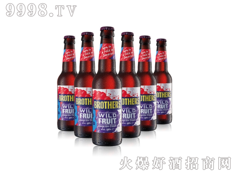 Ӣ��ԭ�b�M(j��n)���ֵ�����ƹ�ζơ��330ml