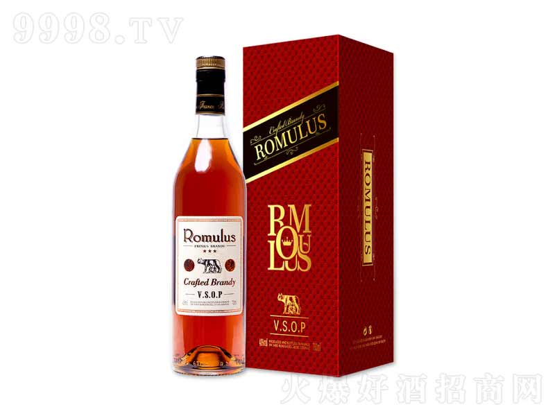 ��Ʒ���ԭƿ�M���_Ľ·˹vsop���m�ء�40��700ml��-�t�����Ϣ