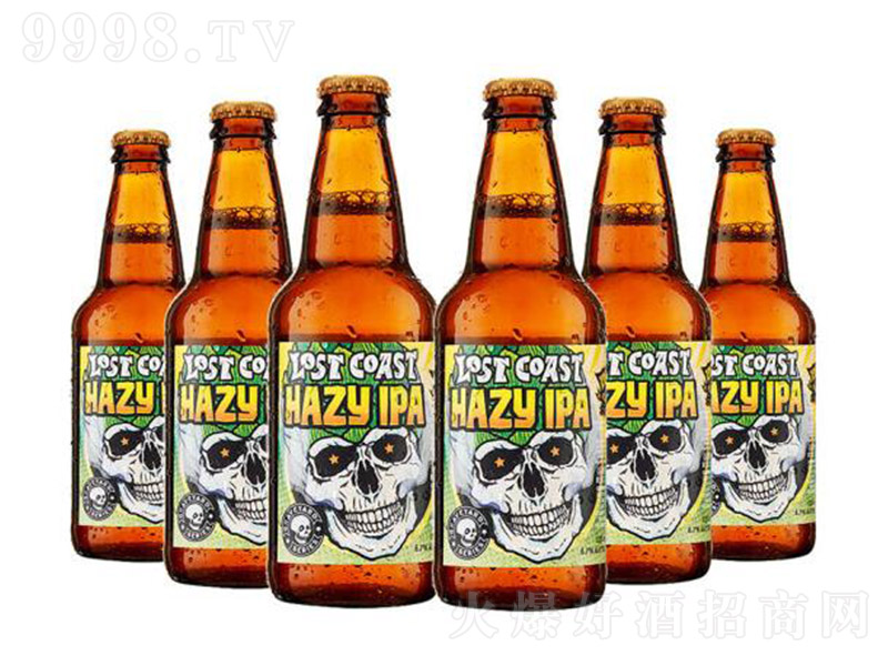 ��ʧ���������ʧ���`����IPAơ�ơ�6.7�� 355ml��