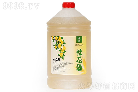 10�㰲���𻨾� Ůʿ�ƵͶ���Ƽ�ͥ�������2500ml�r�񣬶����X��