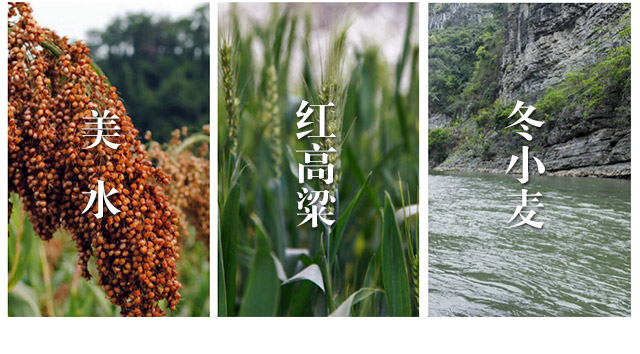 ţ�f�����ƽѲ�10-500ml